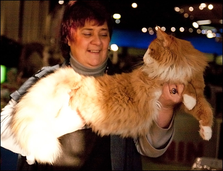 Erving du Valldall 1.jpg - Erving du Valldall